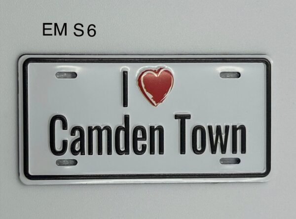 Metal Fridge Magnet - EM S 6