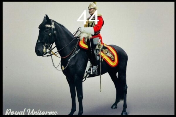 Postcards (100 Pcs) - 44