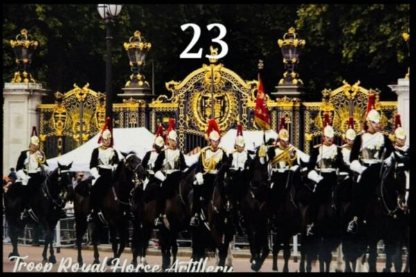 Postcards (100 Pcs) - 23