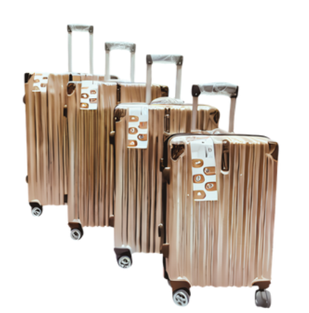 Luggage Set of 4 - Amikin(Brown)