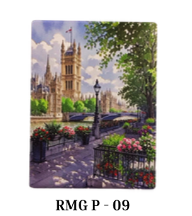 Premium Ceramic Magnet - RMG P-09