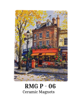 Premium Ceramic Magnet - RMG P-06