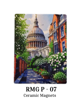 Premium Ceramic Magnet - RMG P-07
